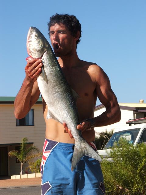 kalbarri greenback closeup